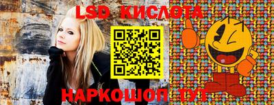 крисы Беслан