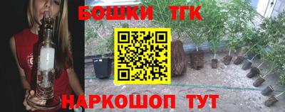 молекула духа Бийск