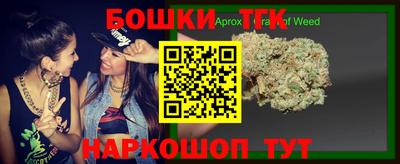 МДПВ Гатчина