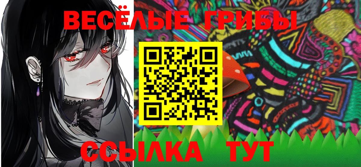 Галлюциногенные грибы GOLDEN TEACHER Гусиноозёрск