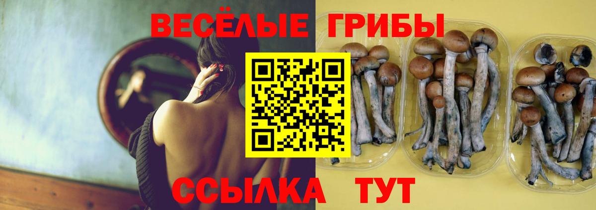Гусиноозёрск  Псилоцибиновые грибы Cubensis  Вход с VPN 